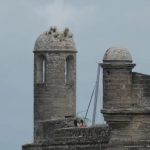 St. Augustine's Revolutionary Past: A Forgotten Colony's Story