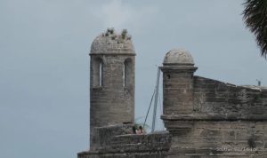 st-augustines-revolutionary-past-a-forgotten-colonys-story-16223 St. Augustine's Revolutionary Past: A Forgotten Colony's Story