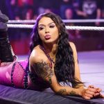 TNA Introduces Knockouts Championship Television Title
