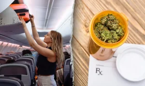 tsas-new-guidance-on-flying-with-cannabis-a-health-warning-22212 TSA's New Guidance on Flying with Cannabis: A Health Warning