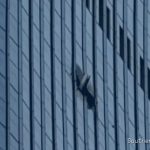Video Captures Large Hole After Small Plane Hits Tall Skyscraper