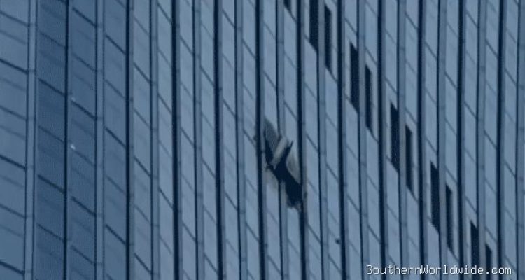 Video Captures Large Hole After Small Plane Hits Tall Skyscraper