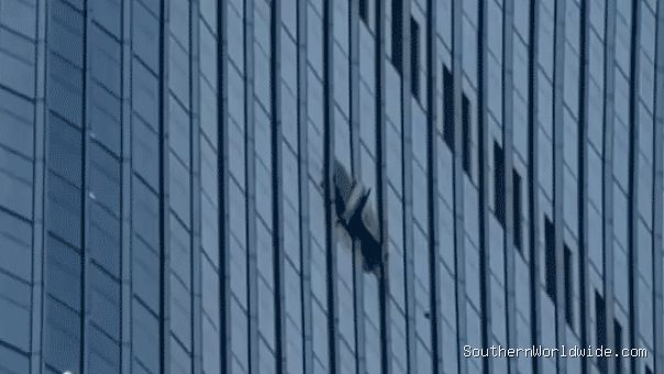 Video Captures Large Hole After Small Plane Hits Tall Skyscraper