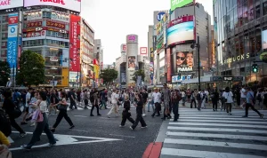 Visitors face instant fines for a common error in busy tourist spots