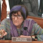 WATCH: Hearing derails as purple-haired Dem points finger, screams at chair to put DHS chief 'in his place'