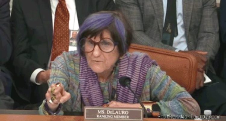 WATCH: Hearing derails as purple-haired Dem points finger, screams at chair to put DHS chief 'in his place'