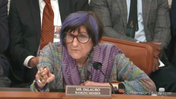 WATCH: Hearing derails as purple-haired Dem points finger, screams at chair to put DHS chief 'in his place'