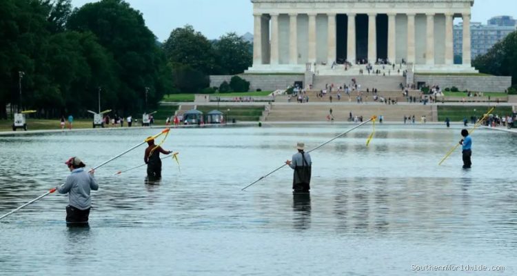 White House Denounces 'Targeted Sabotage' of Reflecting Pool Amidst Repair Delays