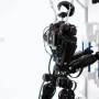 Will a four-armed robot take astronauts' jobs in space?