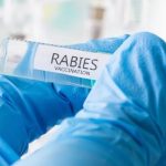 11-Year-Old Dies From Rabies After Bat Encounter While Sleeping