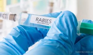 11-year-old-dies-from-rabies-after-bat-encounter-while-sleeping-38788 11-Year-Old Dies From Rabies After Bat Encounter While Sleeping