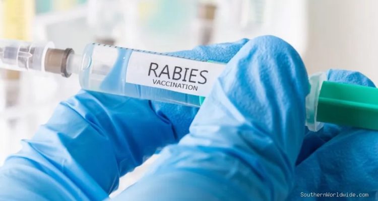 11-Year-Old Dies From Rabies After Bat Encounter While Sleeping