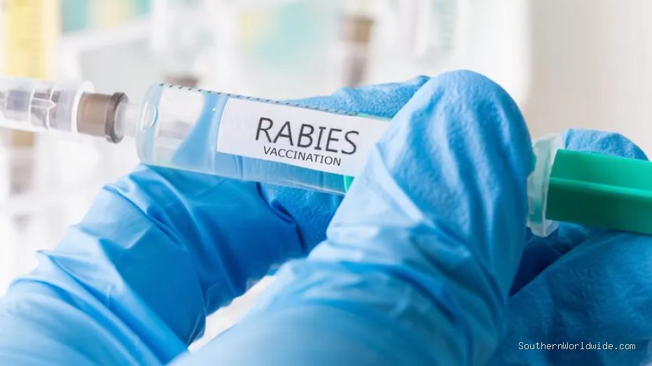 11-Year-Old Dies From Rabies After Bat Encounter While Sleeping