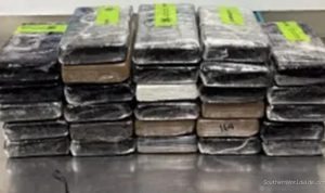 border-agents-find-37-million-in-cocaine-hidden-in-cucumber-shipment-55730 Border Agents Find $3.7 Million in Cocaine Hidden in Cucumber Shipment