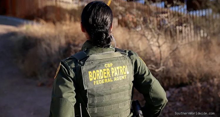 Border Patrol Uncovers Millions in Contraband Within Cabbage Shipment