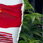 Chinese Criminal Groups Infiltrating US Hemp Industry, Former DHS Secretary Warns