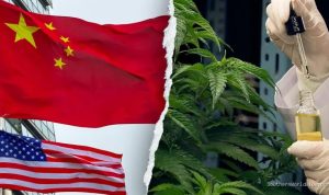 chinese-criminal-groups-infiltrating-us-hemp-industry-former-dhs-secretary-warns-22041 Chinese Criminal Groups Infiltrating US Hemp Industry, Former DHS Secretary Warns