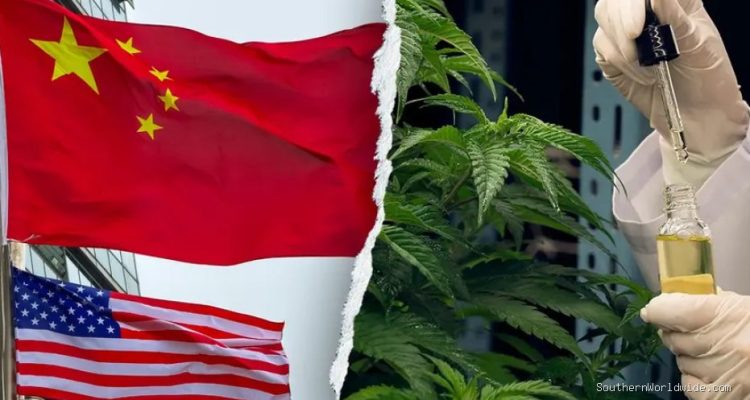 Chinese Criminal Groups Infiltrating US Hemp Industry, Former DHS Secretary Warns