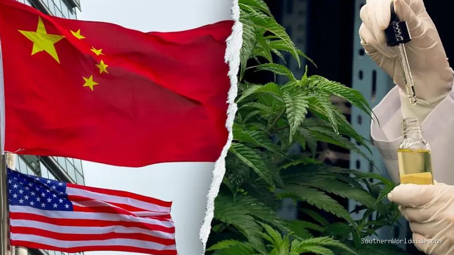 chinese-criminal-groups-infiltrating-us-hemp-industry-former-dhs-secretary-warns-22041 Chinese Criminal Groups Infiltrating US Hemp Industry, Former DHS Secretary Warns