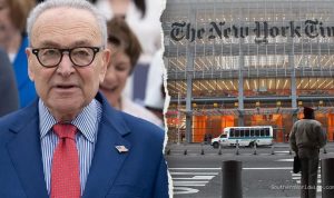 GOP Senator: NYT Suppressed Bombshell Allegation to Shield Schumer, Dems
