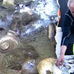 Spectacular Shipwreck Reveals Pristine Cargo Time Capsule: An Amazing Discovery