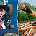 Trump Administration Reverses Wildlife Rule Burdening Families and Businesses