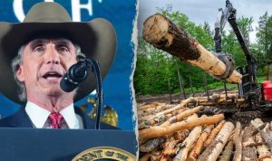 trump-administration-reverses-wildlife-rule-burdening-families-and-businesses-31234 Trump Administration Reverses Wildlife Rule Burdening Families and Businesses