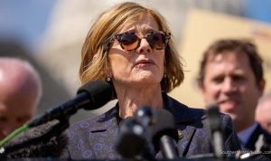 Vulnerable House Democrats' Bipartisan Push Versus Aggressive Rhetoric